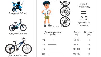 Photo of Выбор первого детского велосипеда
